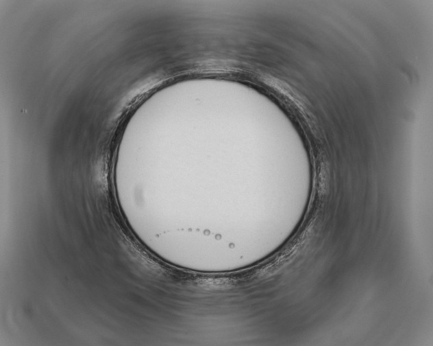 X0000112911451200909211021