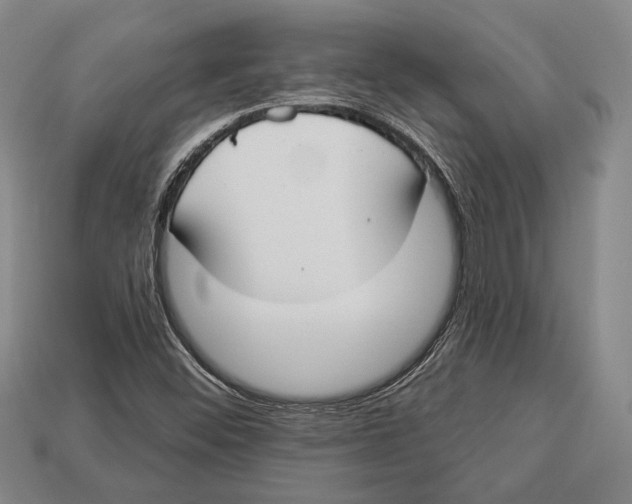 X0000112911452200909211021