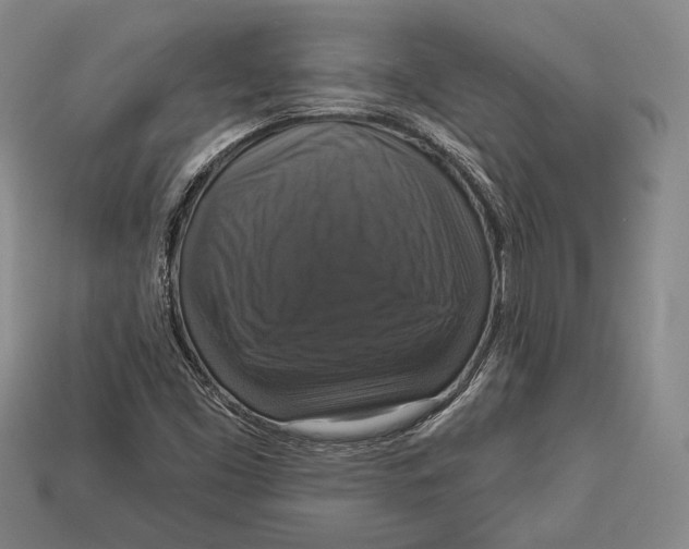 X0000112911453200909211021