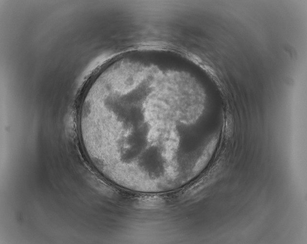 X0000112911454200909211021