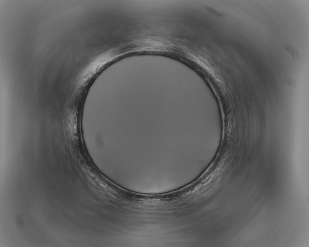 X0000112911455200909211021