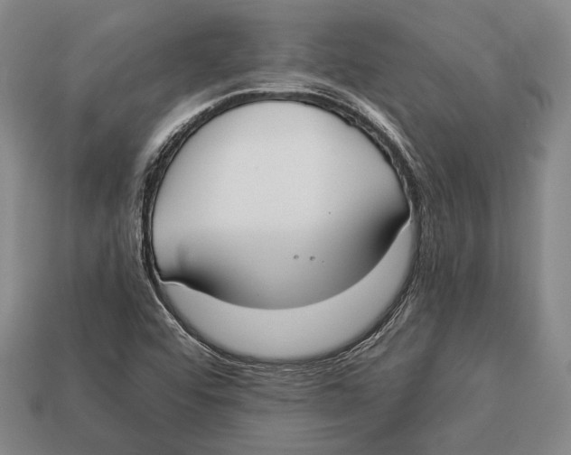 X0000112911456200909211021