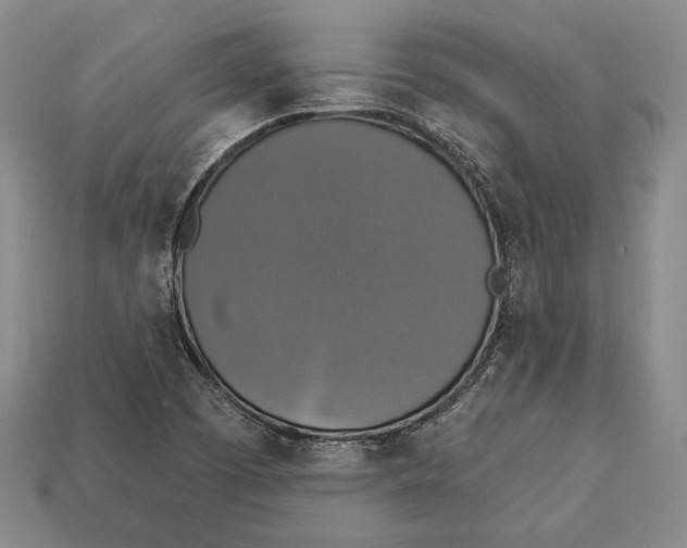 X0000112911457200909211021