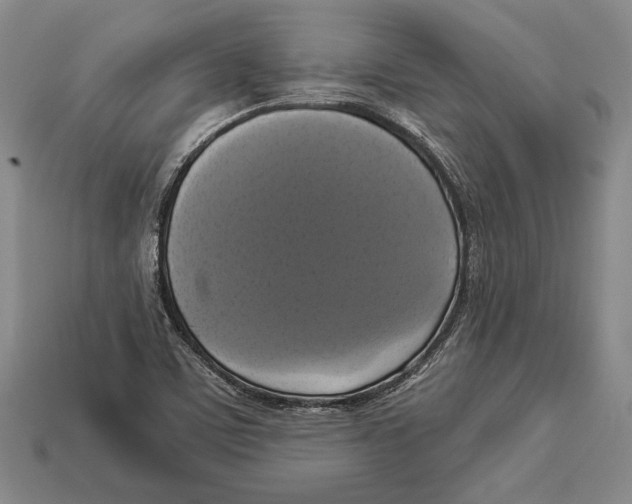 X0000112911459200909211021