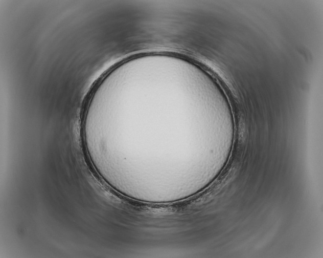 X0000112911460200909211021