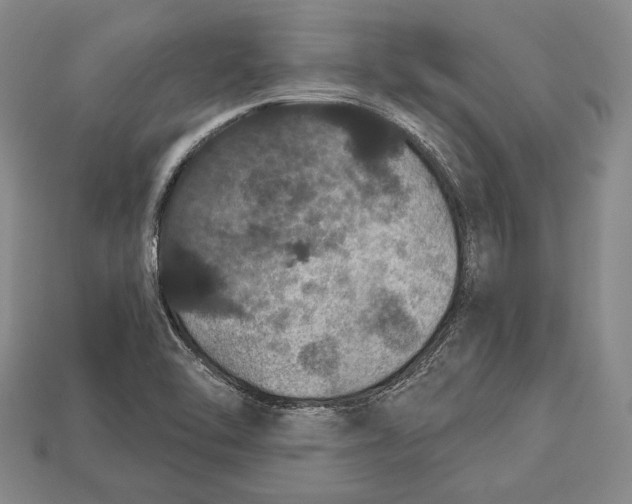 X0000112911462200909211021