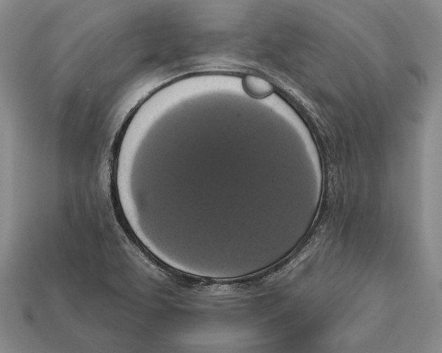 X0000112911463200909211021