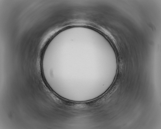 X0000112911464200909211021