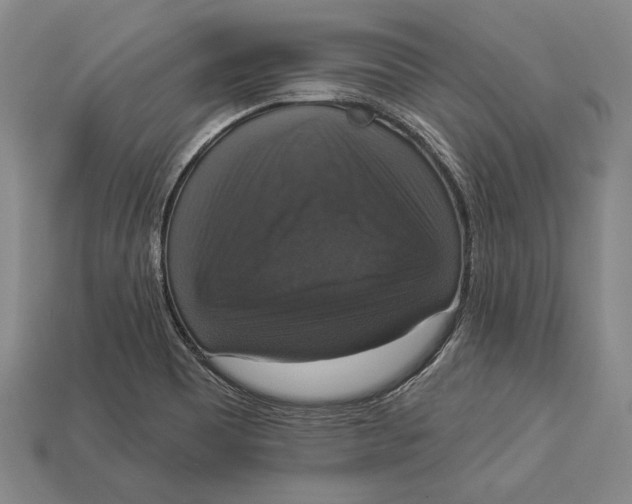 X0000112911465200909211021