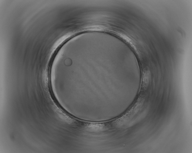 X0000112911466200909211021