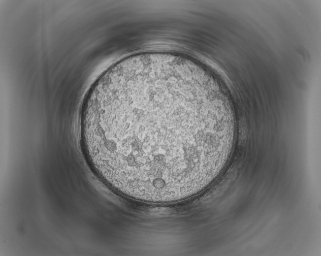 X0000112911467200909211021