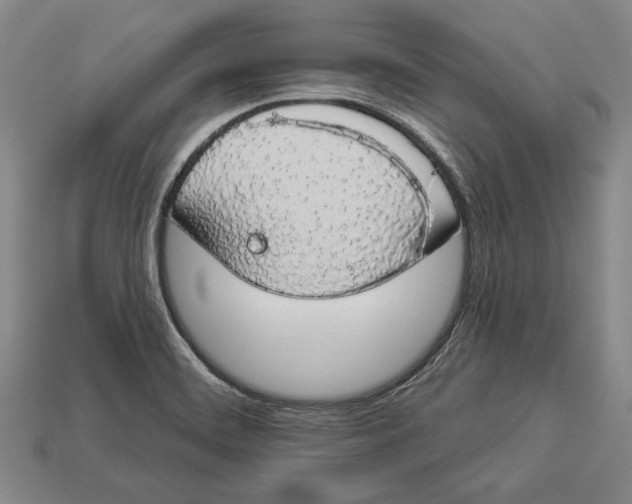 X0000112911468200909211021