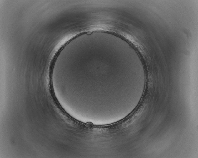 X0000112911469200909211021