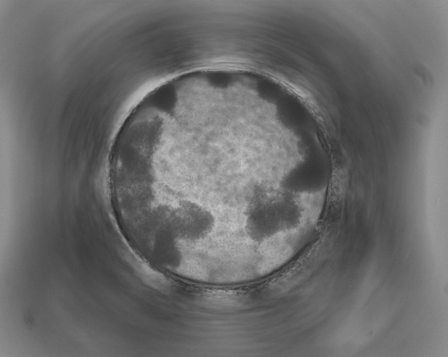 X0000112911470200909211021