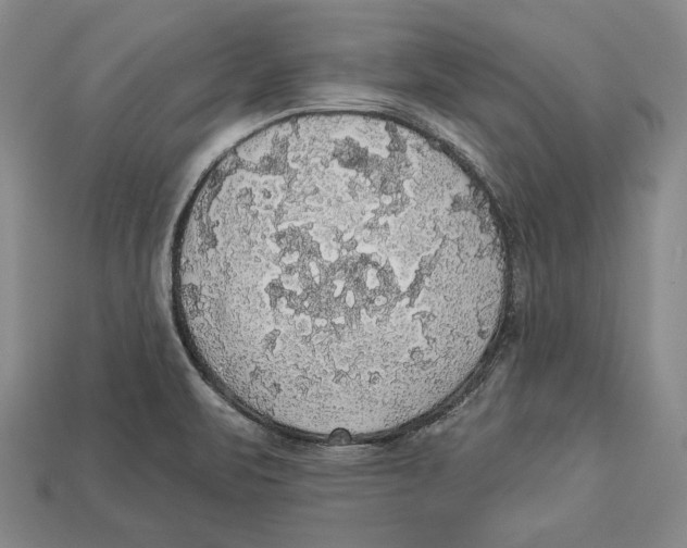 X0000112911471200909211021