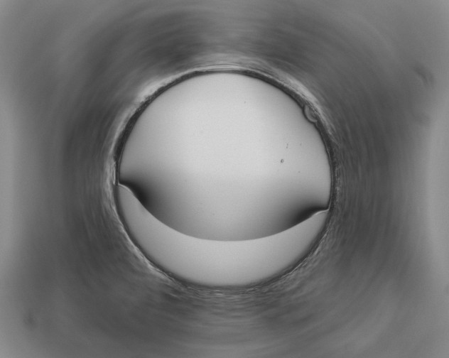 X0000112911472200909211021