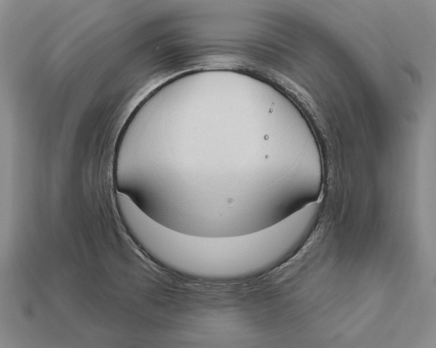 X0000112911473200909211021