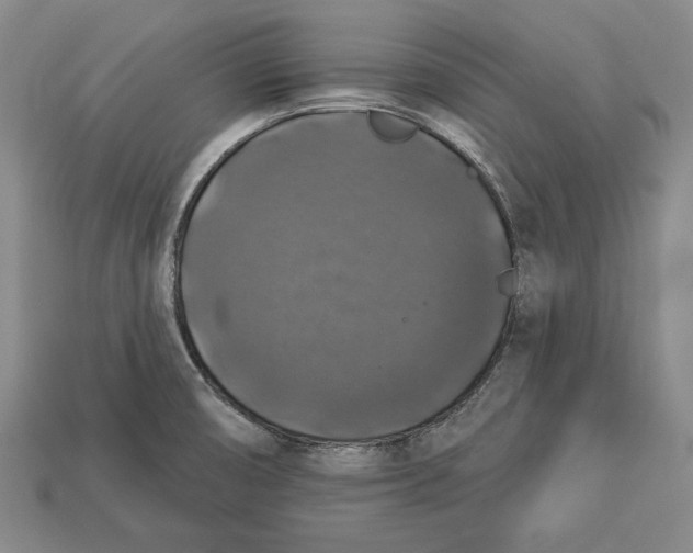 X0000112911474200909211021