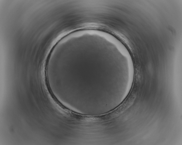 X0000112911475200909211021