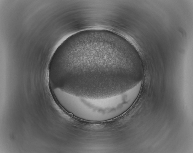 X0000112911476200909211021