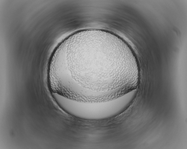 X0000112911477200909211021