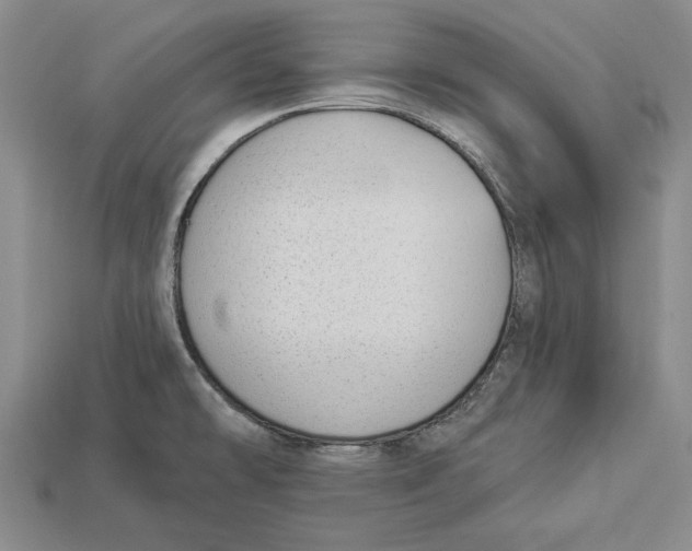 X0000112911478200909211021