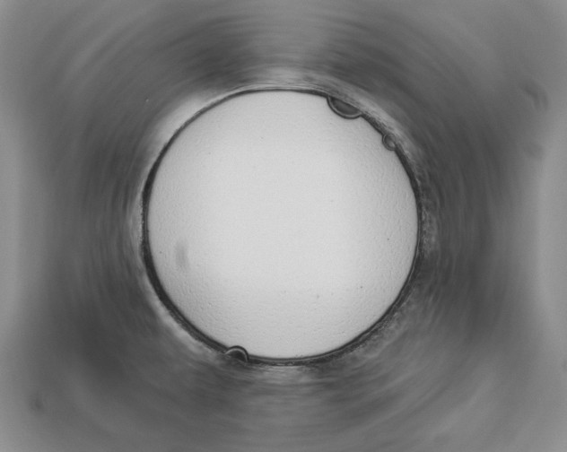 X0000112911479200909211021