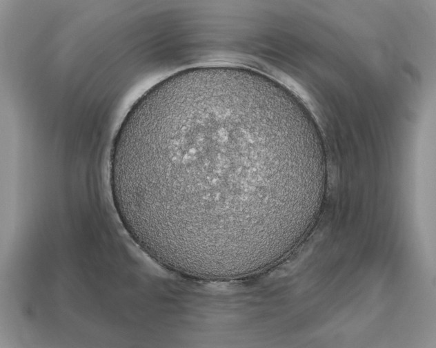 X0000112911480200909211021