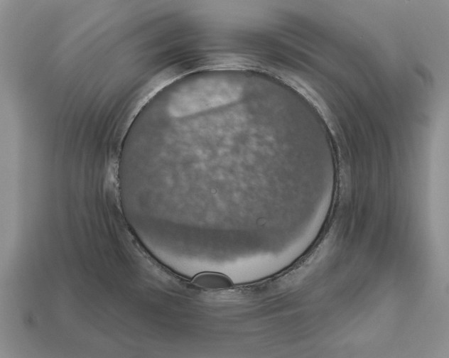 X0000112911481200909211021