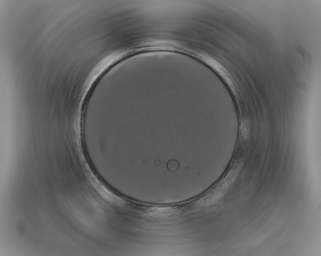 X0000112911482200909211020