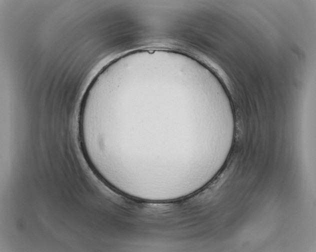 X0000112911483200909211020