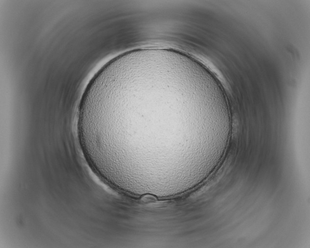 X0000112911484200909211020