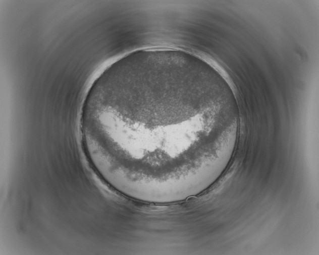 X0000112911485200909211020