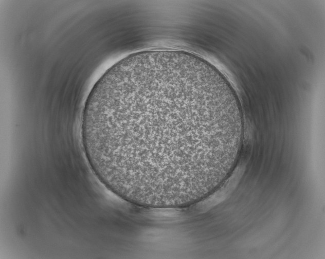 X0000112911486200909211020