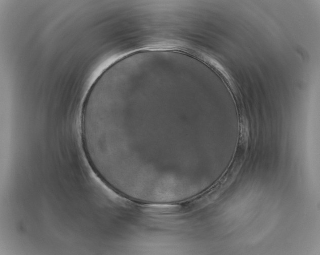 X0000112911487200909211020