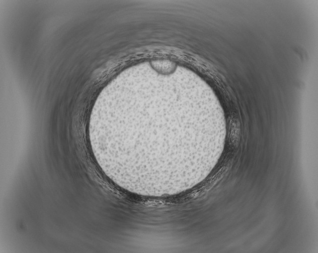 X0000112911489200909211020