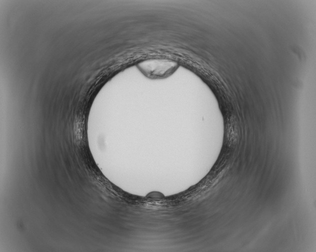 X0000112911490200909211020