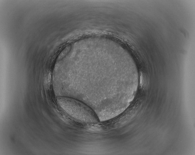 X0000112911492200909211020