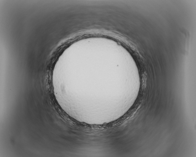 X0000112911494200909211020