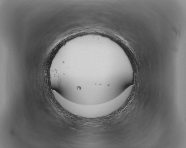 X0000112911496200909211020