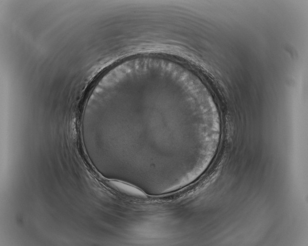 X0000112911497200909211020