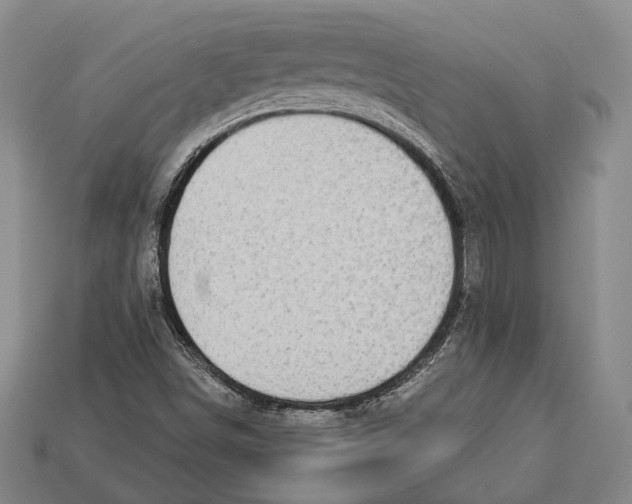 X0000112911498200909211020