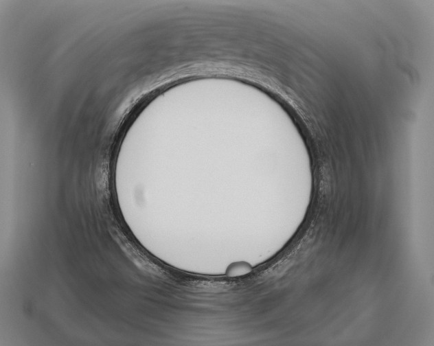 X0000112911499200909211020