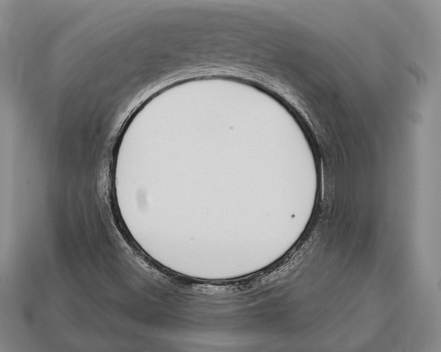 X0000112911500200909211020