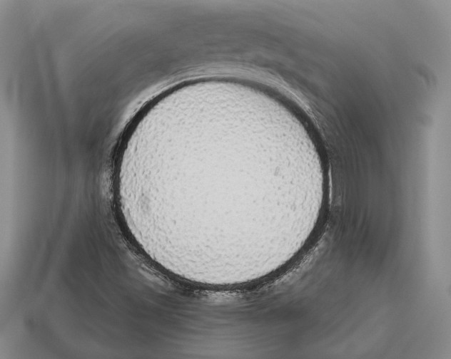 X0000112911501200909211020