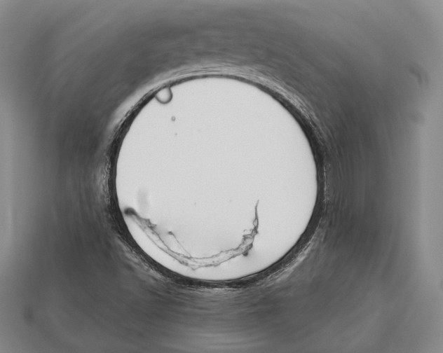 X0000112911502200909211020