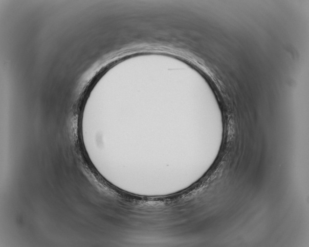 X0000112911503200909211020