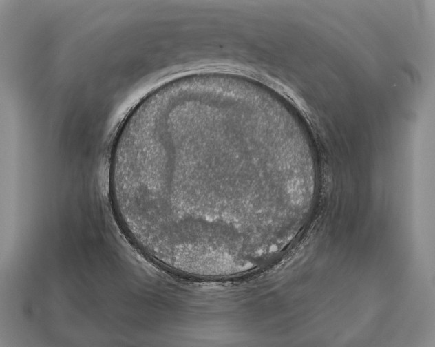 X0000112911504200909211020