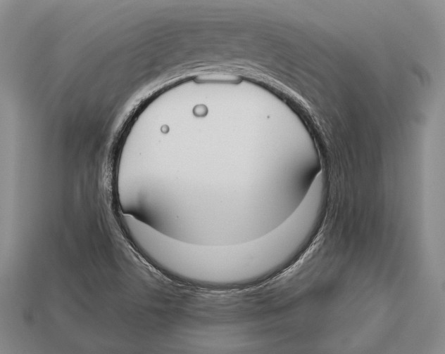 X0000112911506200909211020