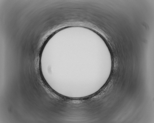 X0000112911507200909211020